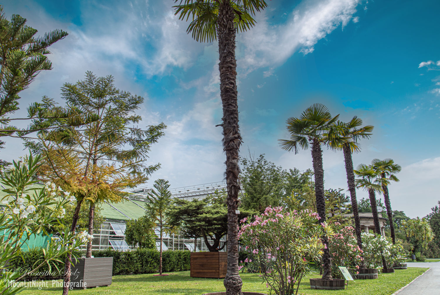 Botanischer Garten München